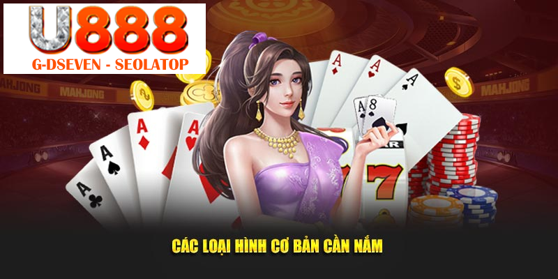 Các loại hình cơ bản cần nắm