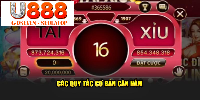 Các quy tắc cơ bản cần nắm