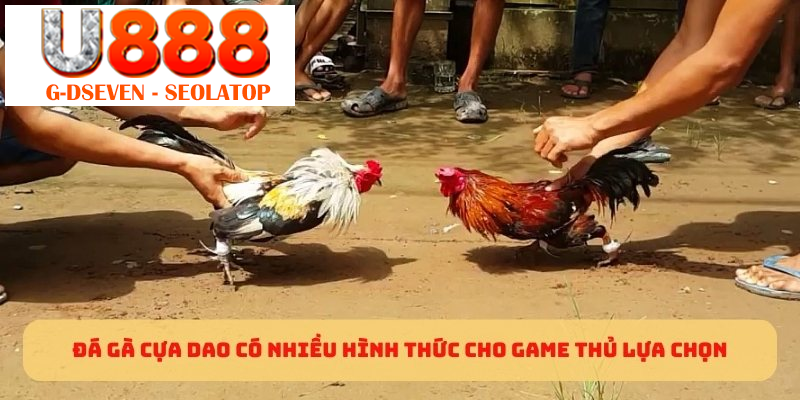 Đá gà cựa dao có nhiều hình thức cho game thủ lựa chọn