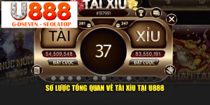 processed so luoc tong quan ve tai xiu tai u888