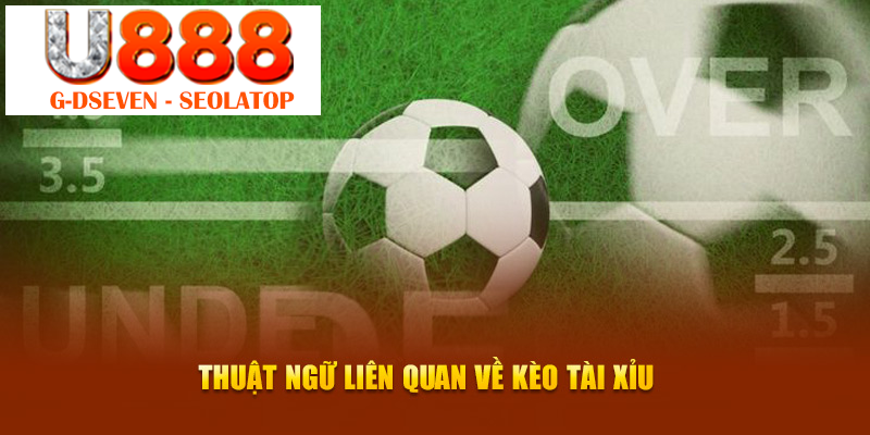 Thuật ngữ liên quan nhất về kèo Tài Xỉu